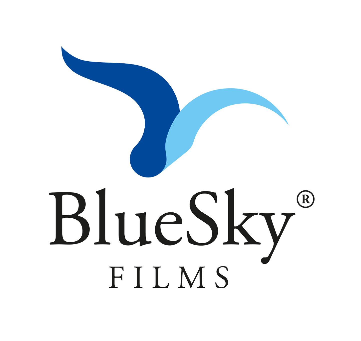 Logo Blue Sky Adriatic