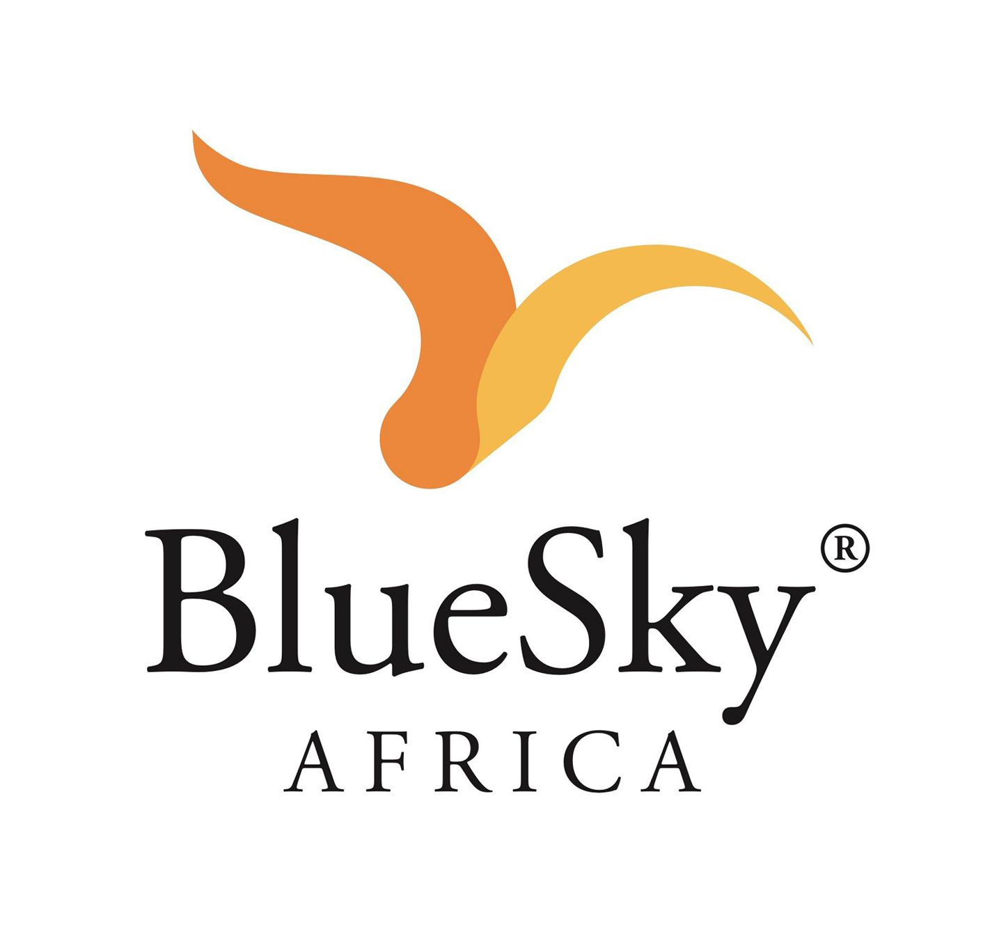 Logo Blue Sky Africa