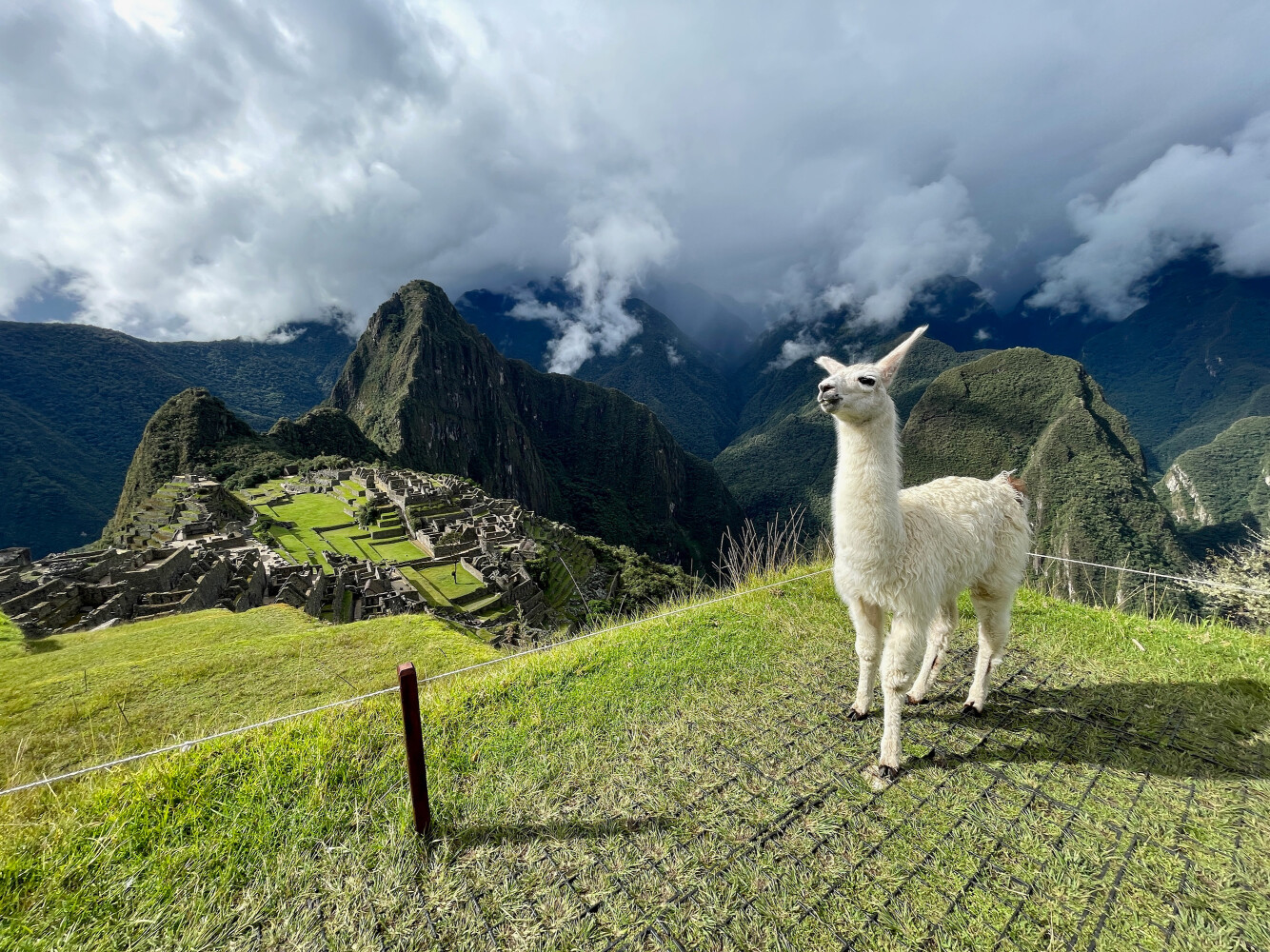 Promo Image Peru